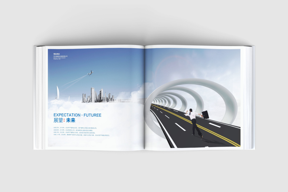 南岔区画册设计